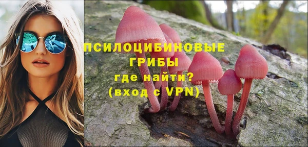 гашик Верея