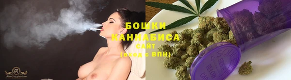 хмурый Бронницы