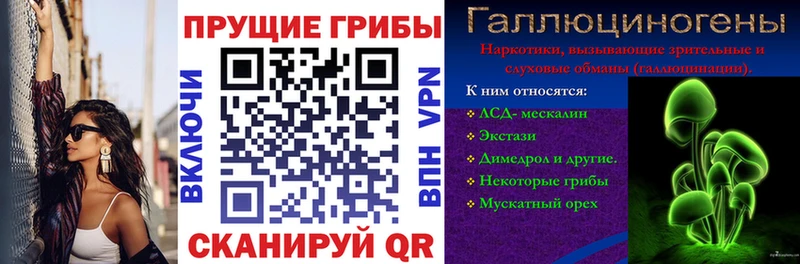 Псилоцибиновые грибы Psilocybe  наркотики  Новое Девяткино 